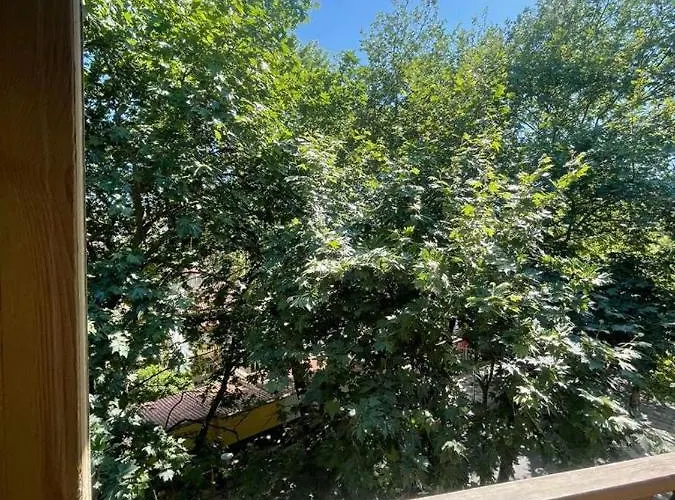 Luxury Centre * 地拉那